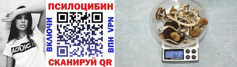 Галлюциногенные грибы ЛСД  Городовиковск 