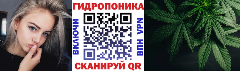 Канабис OG Kush Городовиковск